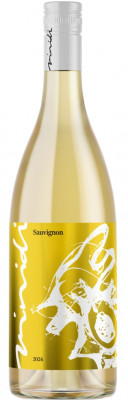 Sauvignon Blanc 2024 suché