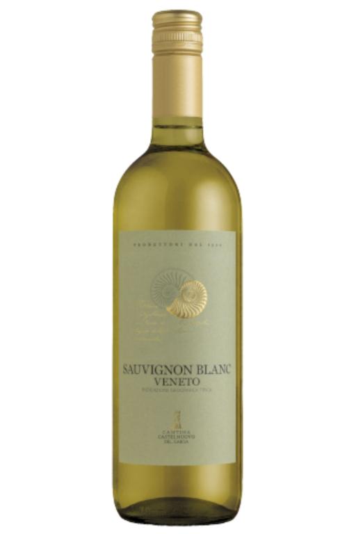 Sauvignon Blanc 2023 suché