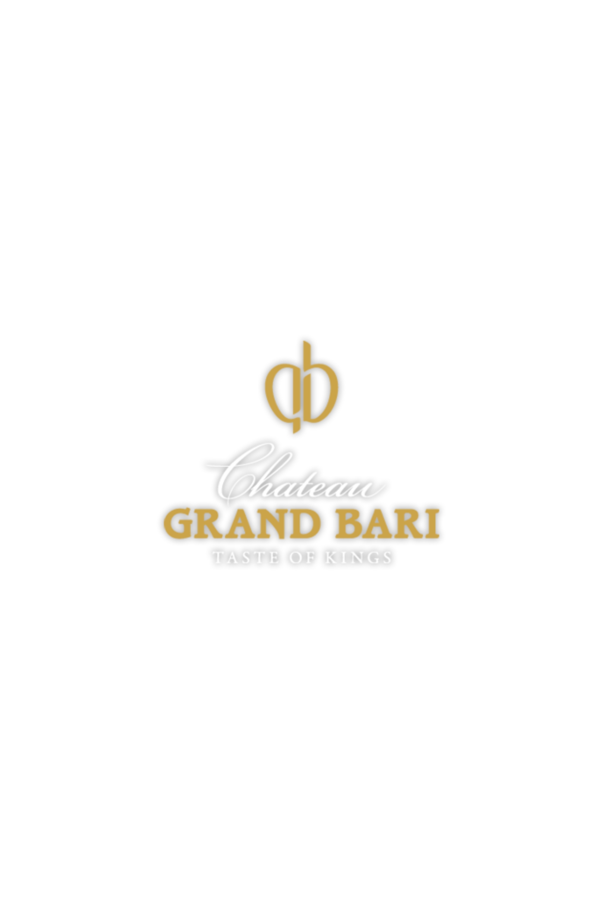 Chateau Grand Bari